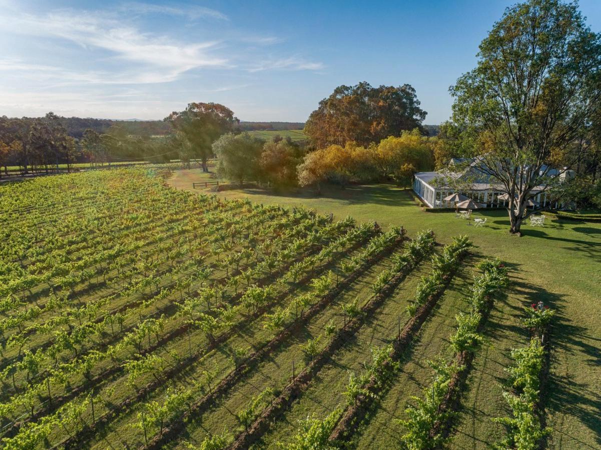 Spicers Vineyards Estate Hotell Pokolbin Exteriör bild