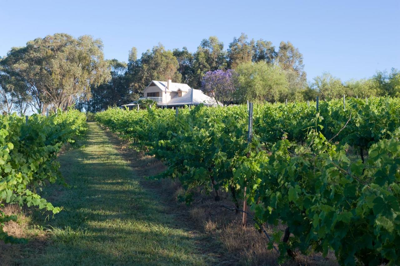 Spicers Vineyards Estate Hotell Pokolbin Exteriör bild