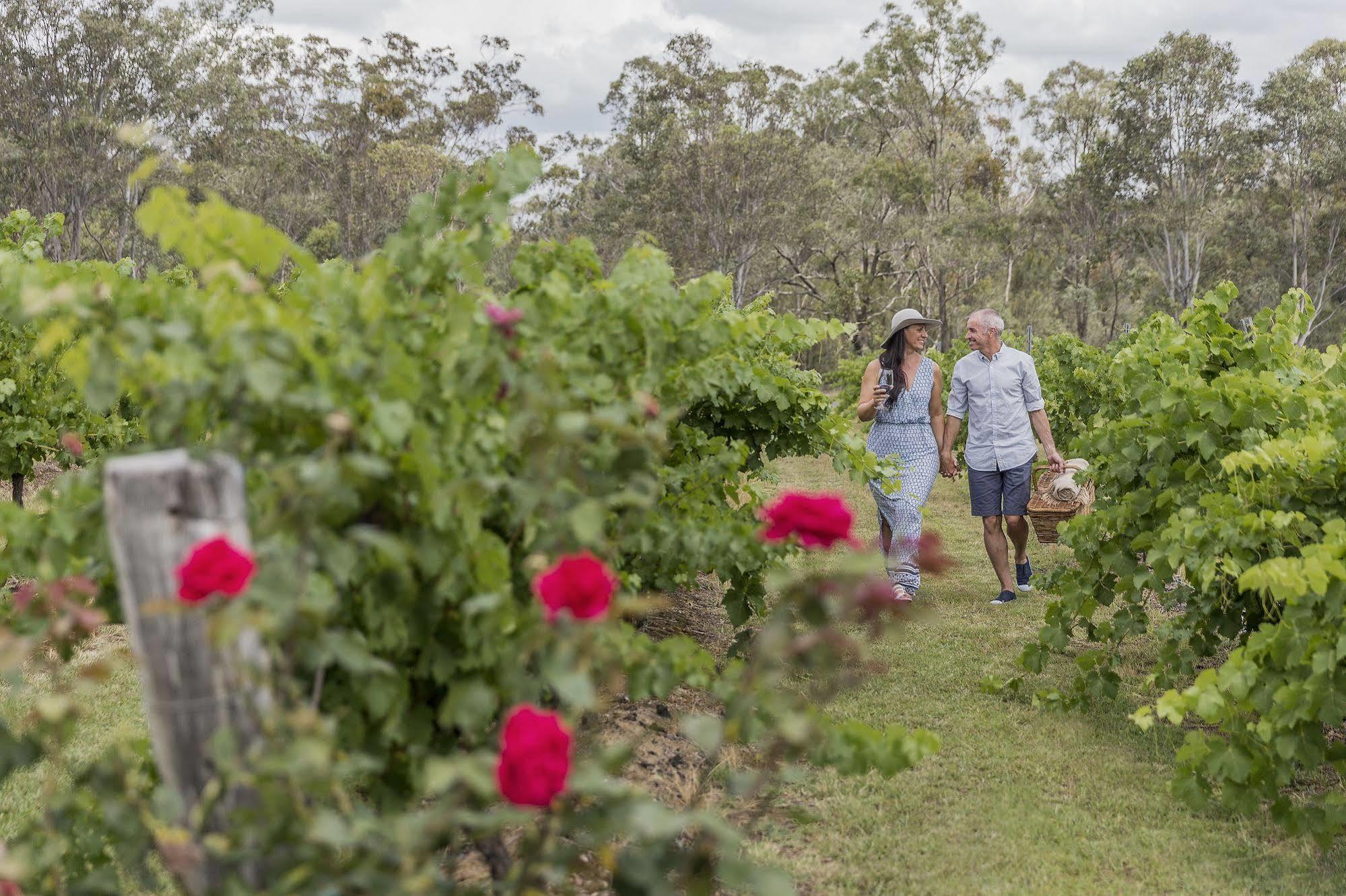 Spicers Vineyards Estate Hotell Pokolbin Exteriör bild