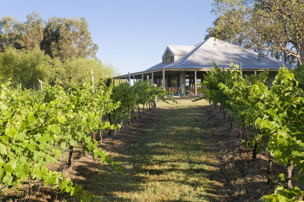 Spicers Vineyards Estate Hotell Pokolbin Exteriör bild
